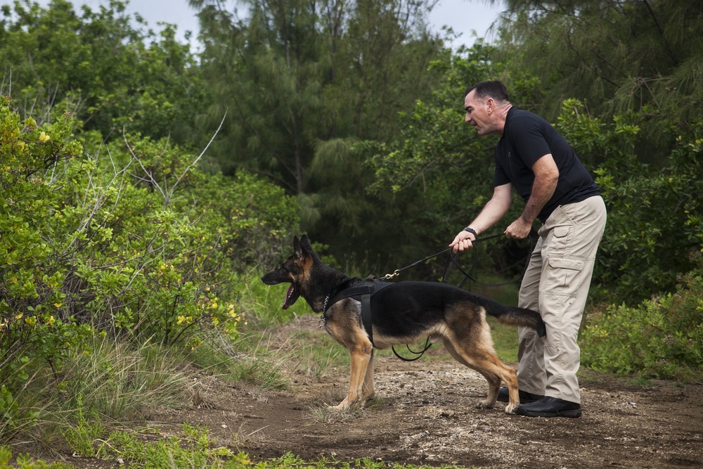 MWDs and their partners keep guard aboard MCBH