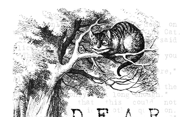 Drop Everything and Read Day