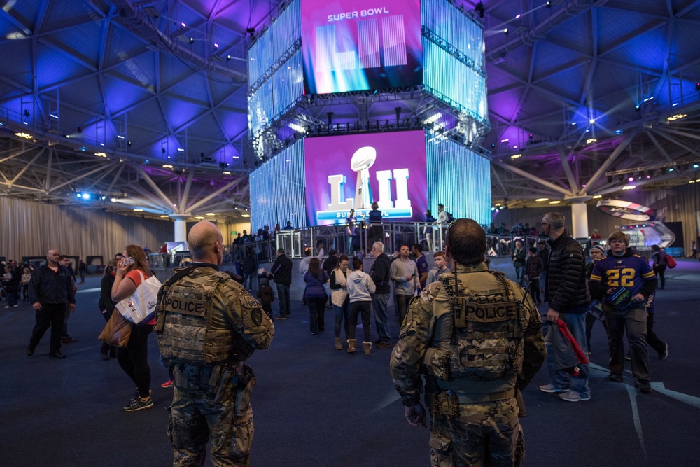 ICE at the Super Bowl