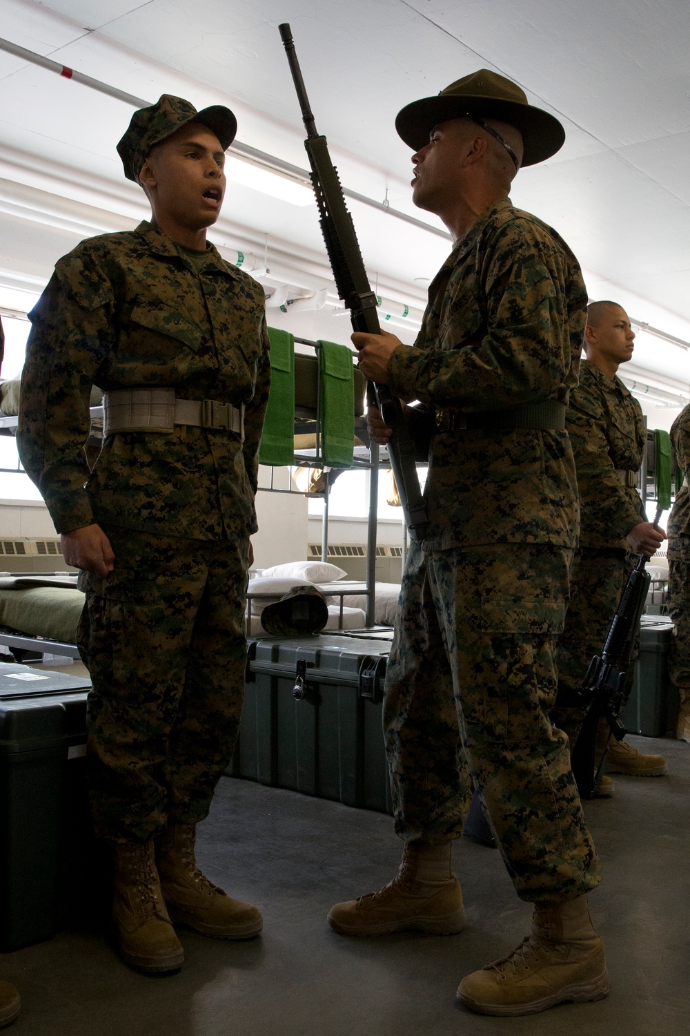 Mike Company - SDI Inspection