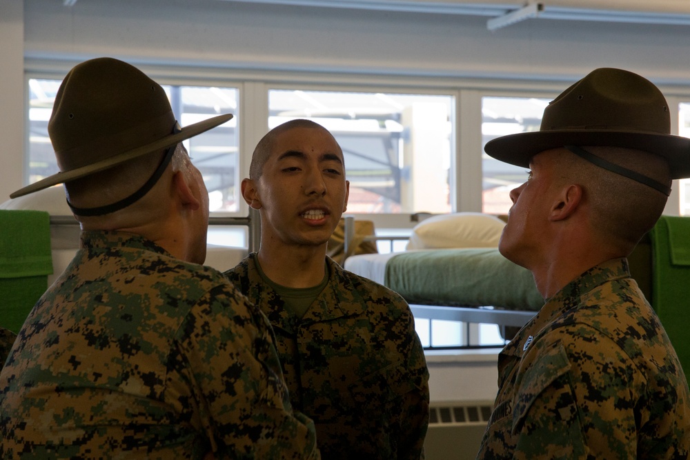 Mike Company - SDI Inspection