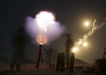 Omani, U.S. troops conduct combined arms maneuver