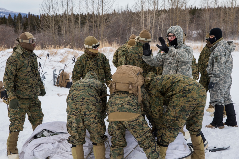 Task Force Arctic Edge