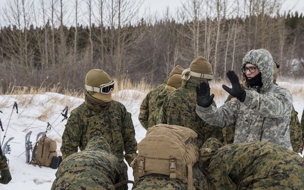 Task Force Arctic Edge