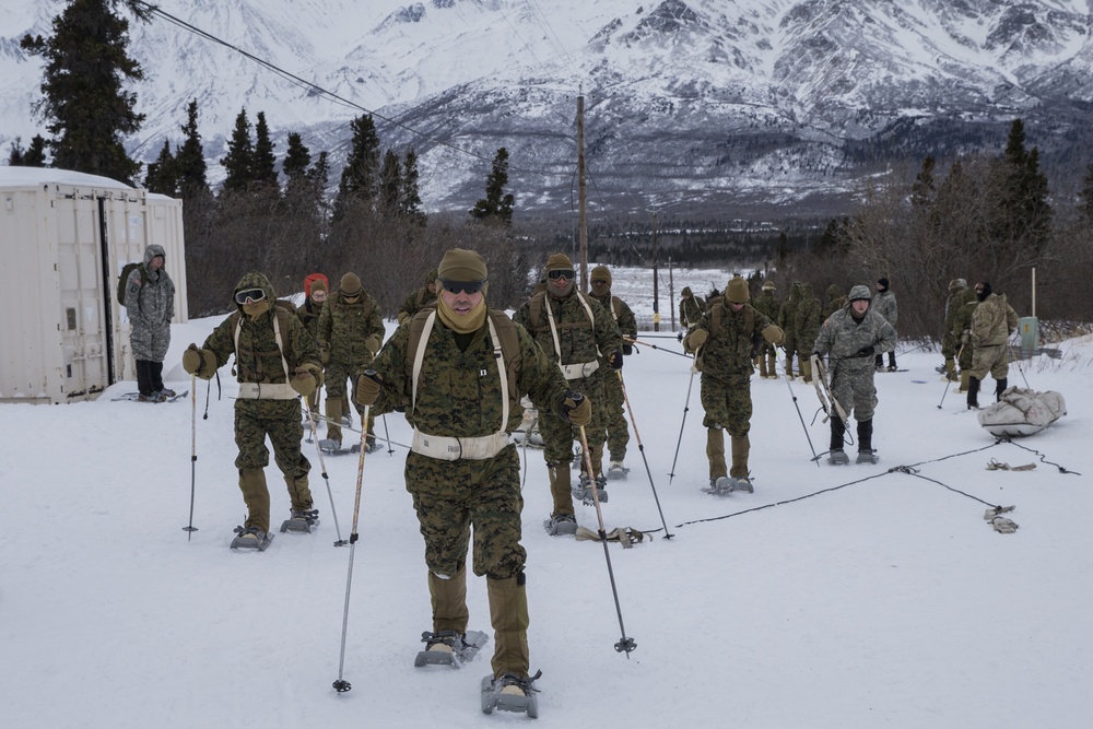 Task Force Arctic Edge