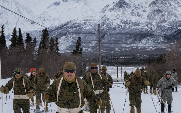 Task Force Arctic Edge
