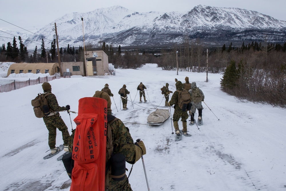 Task Force Arctic Edge