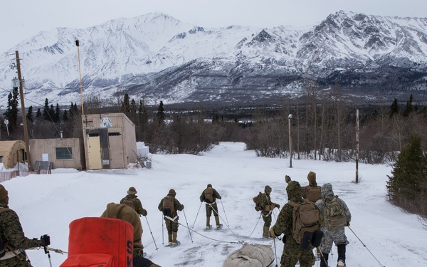 Task Force Arctic Edge