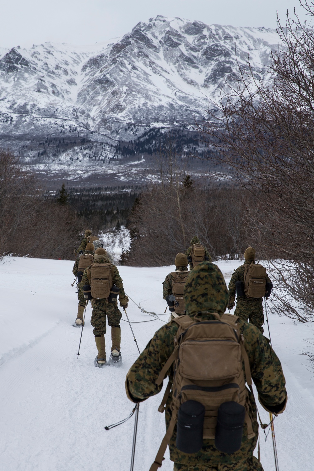 Task Force Arctic Edge