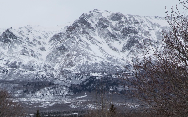 Task Force Arctic Edge