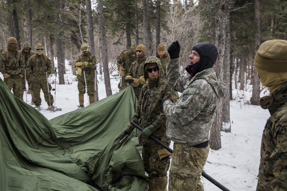 Task Force Arctic Edge