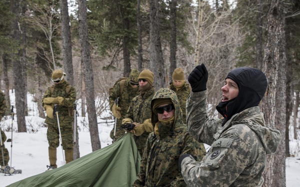 Task Force Arctic Edge