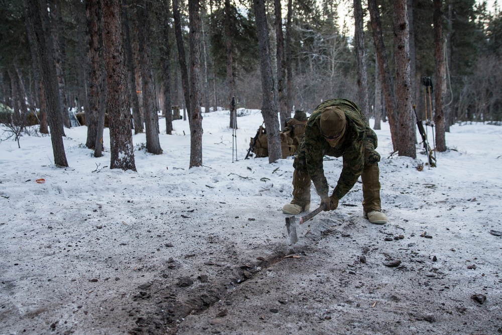 Task Force Arctic Edge