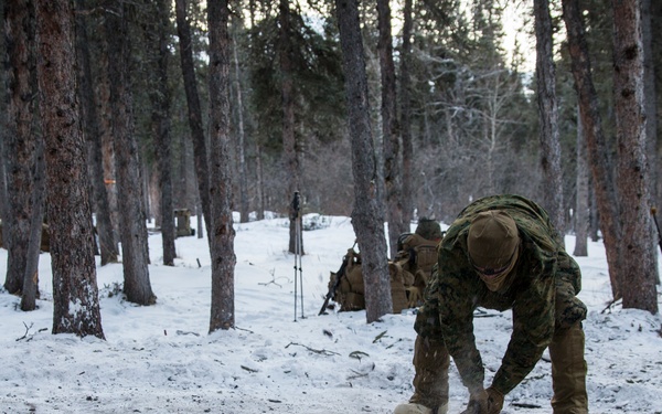 Task Force Arctic Edge