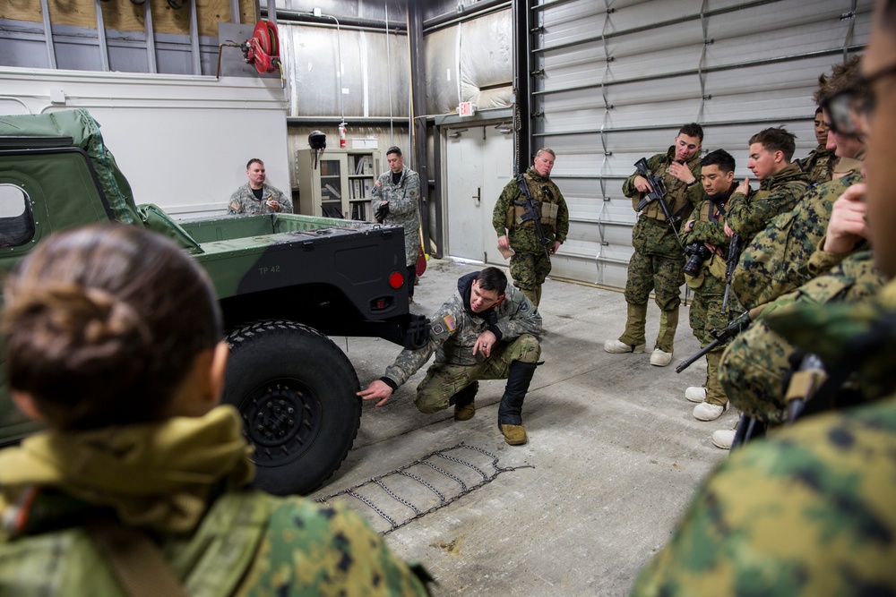 Task Force Arctic Edge