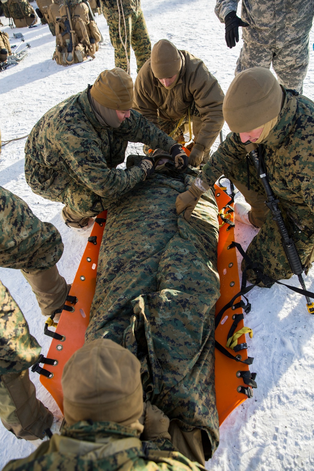 Task Force Arctic Edge