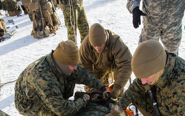 Task Force Arctic Edge