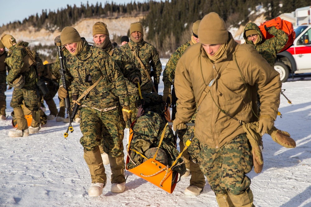 Task Force Arctic Edge