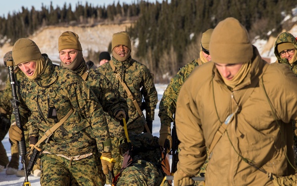 Task Force Arctic Edge