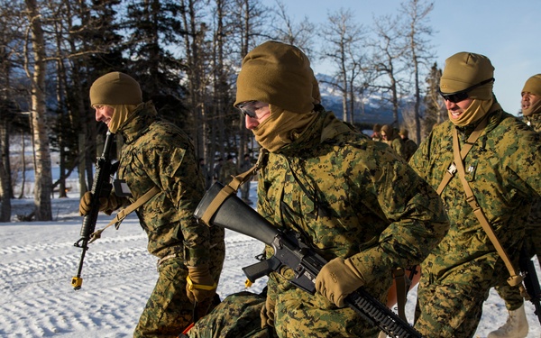 Task Force Arctic Edge