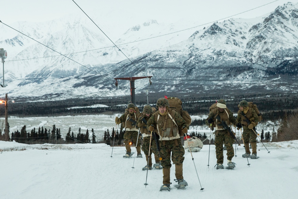 Task Force Arctic Edge