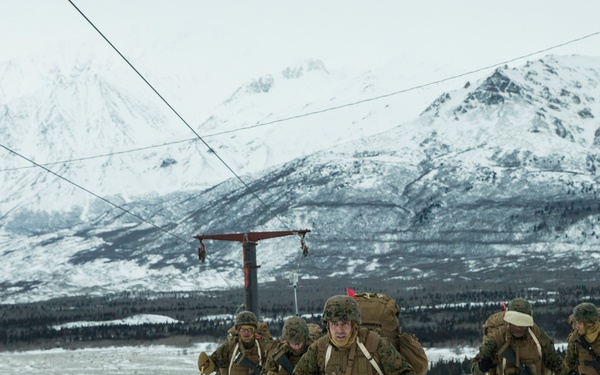 Task Force Arctic Edge