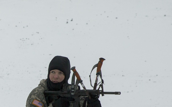 Task Force Arctic Edge