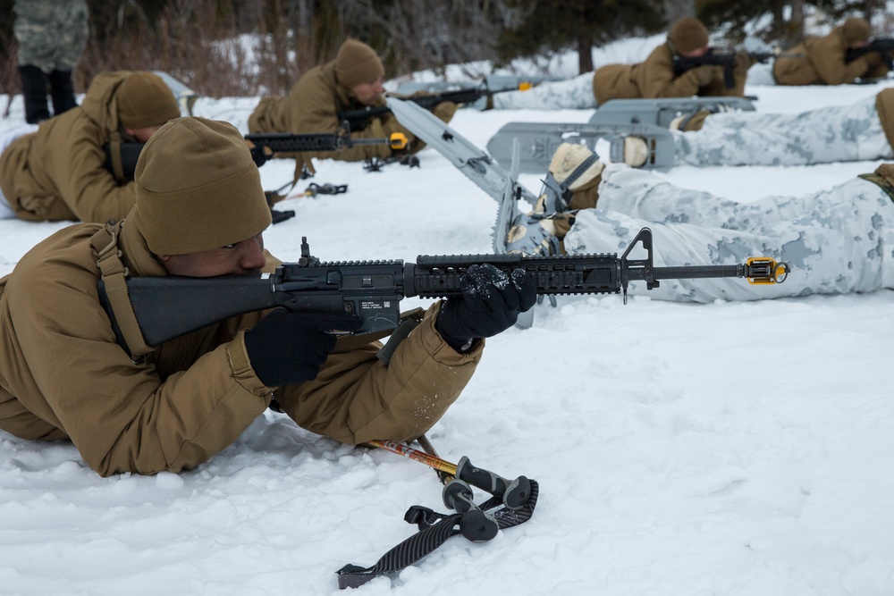 Task Force Arctic Edge