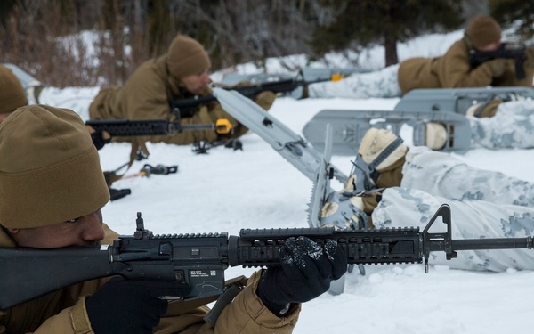 Task Force Arctic Edge