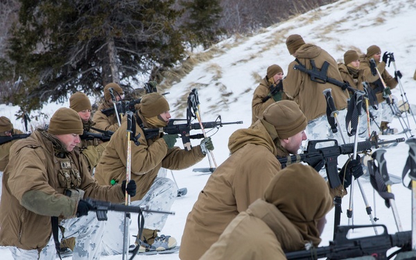 Task Force Arctic Edge