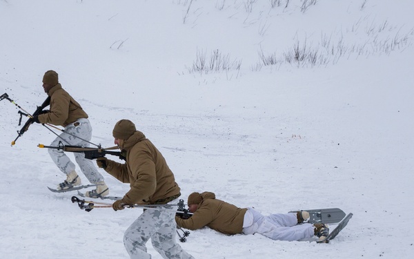 Task Force Arctic Edge