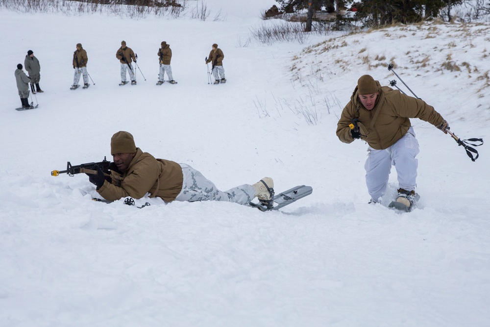 Task Force Arctic Edge