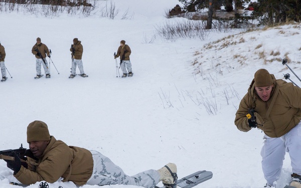 Task Force Arctic Edge