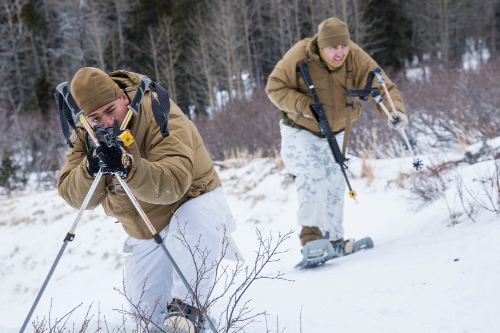 Task Force Arctic Edge