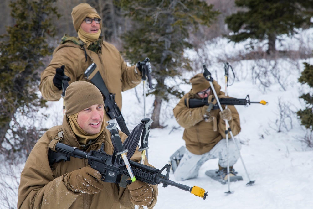 Task Force Arctic Edge
