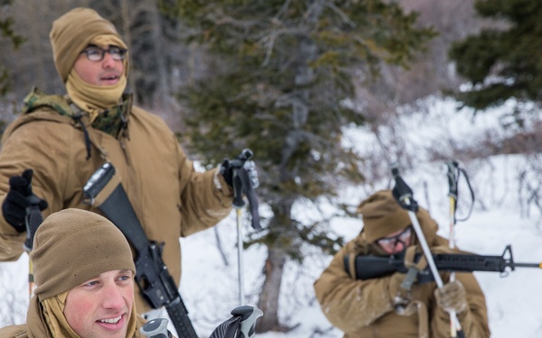 Task Force Arctic Edge