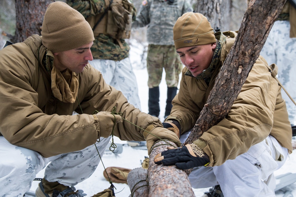 Task Force Arctic Edge