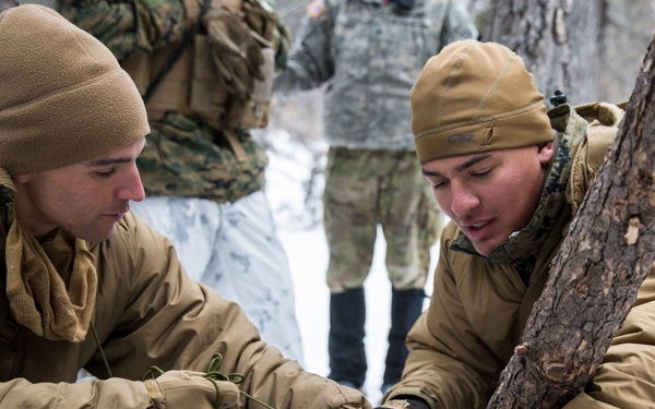 Task Force Arctic Edge