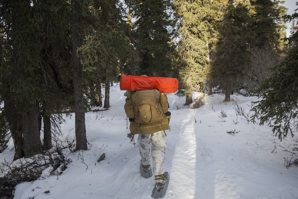 Task Force Arctic Edge