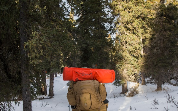 Task Force Arctic Edge