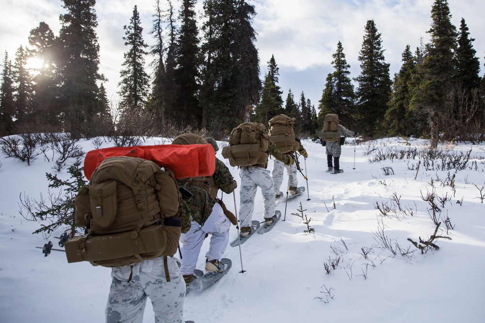 Task Force Arctic Edge