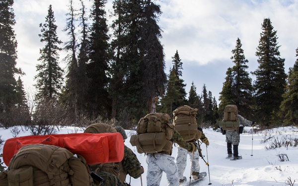 Task Force Arctic Edge