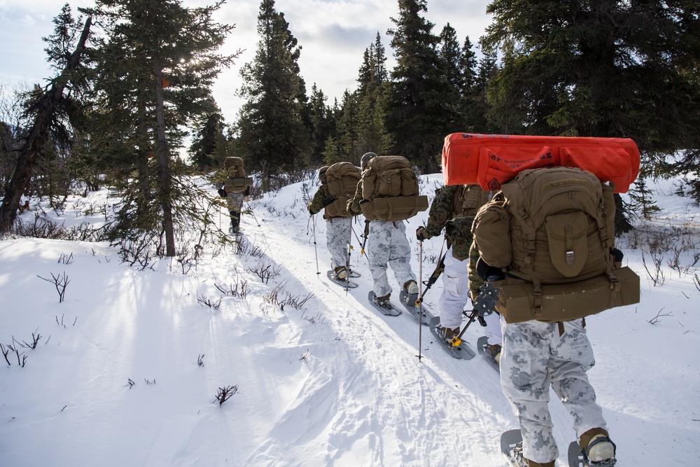 Task Force Arctic Edge