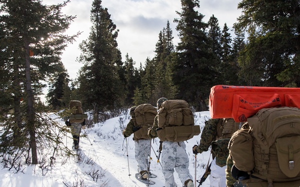 Task Force Arctic Edge