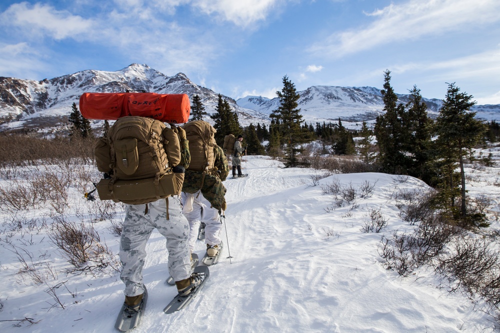 Task Force Arctic Edge