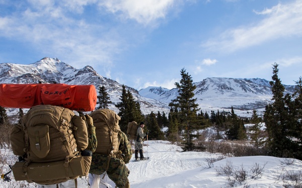 Task Force Arctic Edge