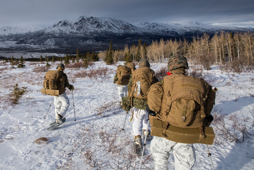 Task Force Arctic Edge