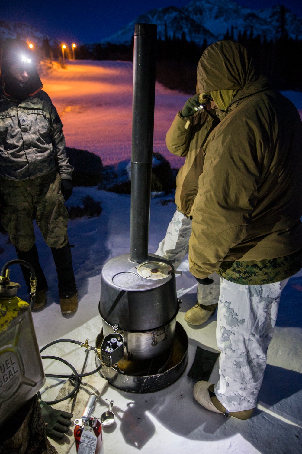 Task Force Arctic Edge