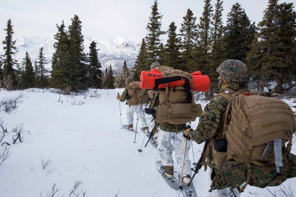 Task Force Arctic Edge