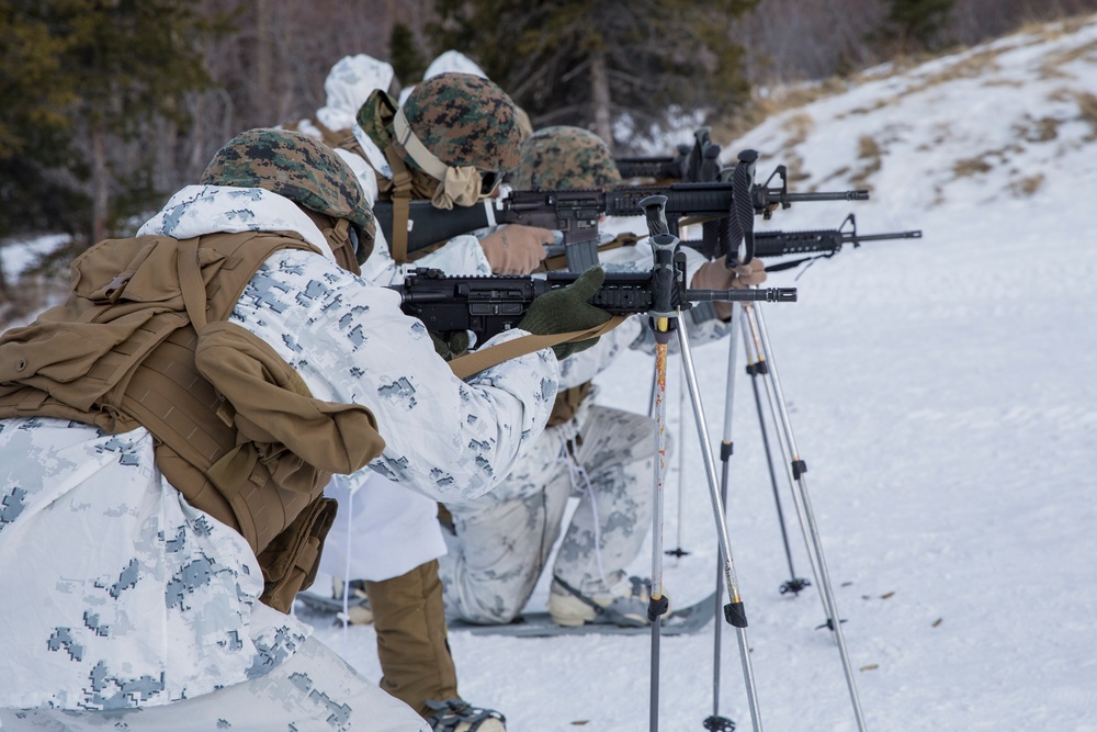 Task Force Arctic Edge